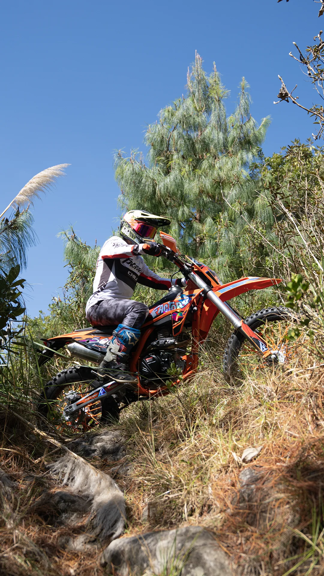 AK-Works 300 — foto 4